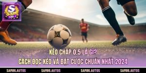 Kèo Chấp 0,5 Là Gì? Cách Đọc Kèo Và Đặt Cược Chuẩn Nhất 2024